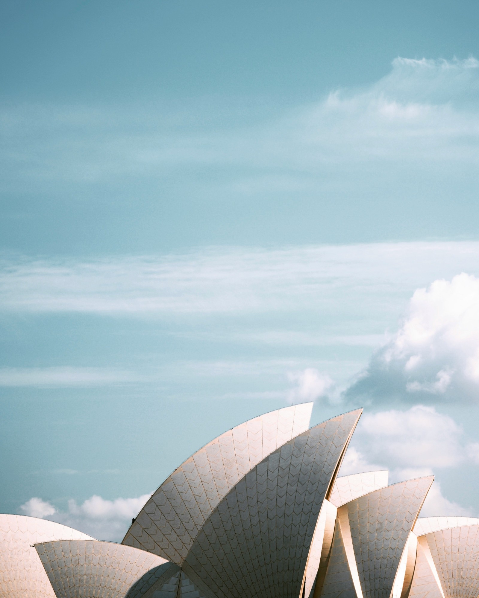 White tiled sails of the Sydney Opera House against a blue sky